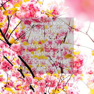 Picture 04 - Jeremia 48:19 NORSK - Still dig ved veien og se ut, du som bor i Aroer! - Bible Verse Picture