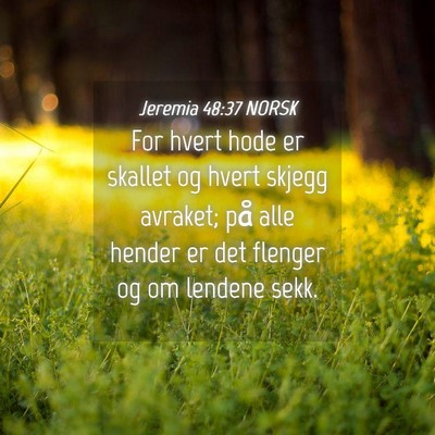 Picture 04 - Jeremia 48:37 NORSK - For hvert hode er skallet og hvert skjegg - Bible Verse Picture