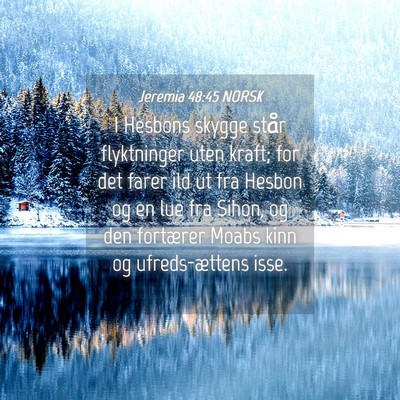 Picture 04 - Jeremia 48:45 NORSK - I Hesbons skygge står flyktninger uten kraft; - Bible Verse Picture