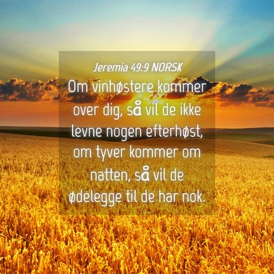 Picture 04 - Jeremia 49:9 NORSK - Om vinhøstere kommer over dig, så vil de ikke - Bible Verse Picture