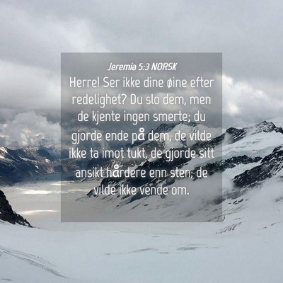 Picture 04 - Jeremia 5:3 NORSK - Herre! Ser ikke dine øine efter redelighet? Du - Bible Verse Picture