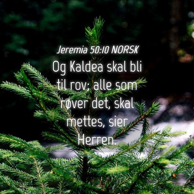 Picture 04 - Jeremia 50:10 NORSK - Og Kaldea skal bli til rov; alle som røver det, - Bible Verse Picture