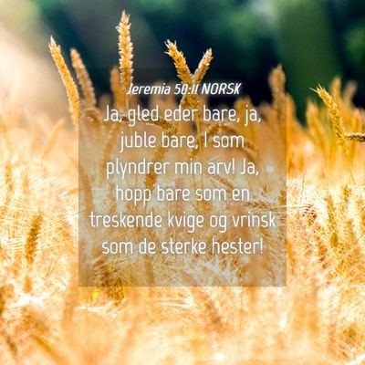 Picture 04 - Jeremia 50:11 NORSK - Ja, gled eder bare, ja, juble bare, I som - Bible Verse Picture