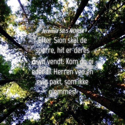Picture 04 - Jeremia 50:5 NORSK - Efter Sion skal de spørre, hit er deres åsyn - Bible Verse Picture