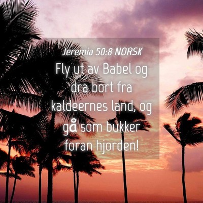 Picture 04 - Jeremia 50:8 NORSK - Fly ut av Babel og dra bort fra kaldeernes land, - Bible Verse Picture
