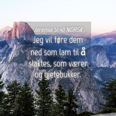 Picture 04 - Jeremia 51:40 NORSK - Jeg vil føre dem ned som lam til å slaktes, som - Bible Verse Picture