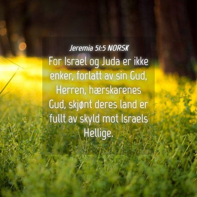Picture 04 - Jeremia 51:5 NORSK - For Israel og Juda er ikke enker, forlatt av sin - Bible Verse Picture