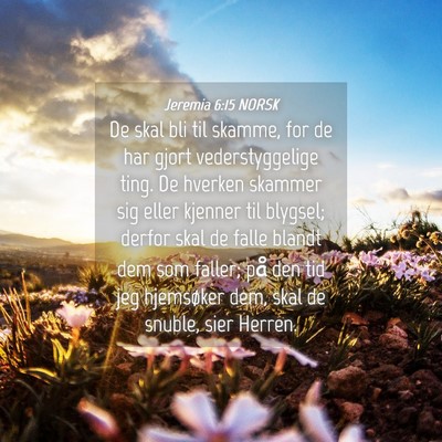 Picture 04 - Jeremia 6:15 NORSK - De skal bli til skamme, for de har gjort - Bible Verse Picture