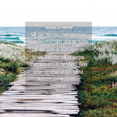 Picture 04 - Jeremia 6:9 NORSK - Så sier Herren, hærskarenes Gud: En efterhøst - Bible Verse Picture