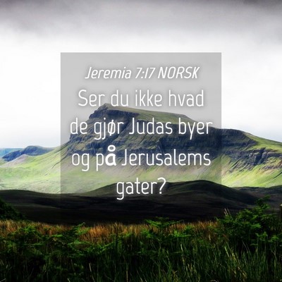 Picture 04 - Jeremia 7:17 NORSK - Ser du ikke hvad de gjør Judas byer og på - Bible Verse Picture