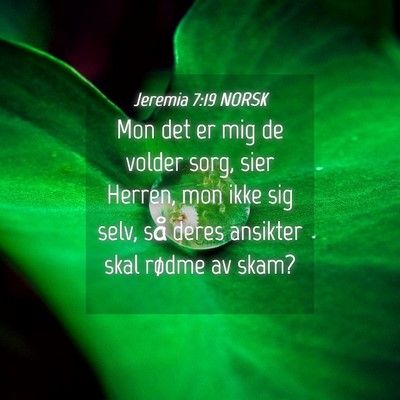 Picture 04 - Jeremia 7:19 NORSK - Mon det er mig de volder sorg, sier Herren, mon - Bible Verse Picture