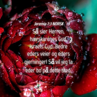 Picture 04 - Jeremia 7:3 NORSK - Så sier Herren, hærskarenes Gud, Israels Gud: - Bible Verse Picture