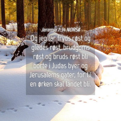 Picture 04 - Jeremia 7:34 NORSK - Og jeg lar fryds røst og gledes røst, brudgoms - Bible Verse Picture