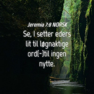 Picture 04 - Jeremia 7:8 NORSK - Se, I setter eders lit til løgnaktige ord(-)til - Bible Verse Picture