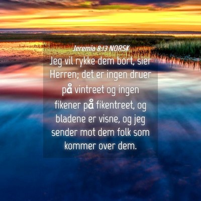 Picture 04 - Jeremia 8:13 NORSK - Jeg vil rykke dem bort, sier Herren; det er ingen - Bible Verse Picture