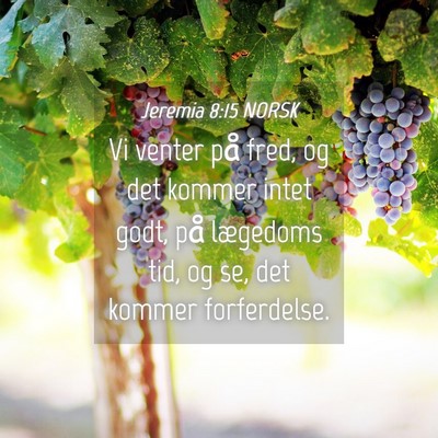 Picture 04 - Jeremia 8:15 NORSK - Vi venter på fred, og det kommer intet godt, på - Bible Verse Picture