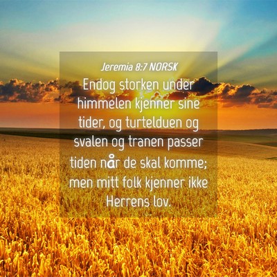 Picture 04 - Jeremia 8:7 NORSK - Endog storken under himmelen kjenner sine tider, - Bible Verse Picture