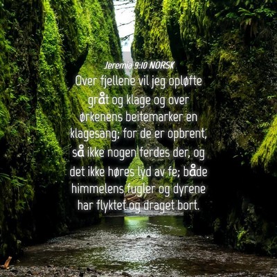 Picture 04 - Jeremia 9:10 NORSK - Over fjellene vil jeg opløfte gråt og klage og - Bible Verse Picture