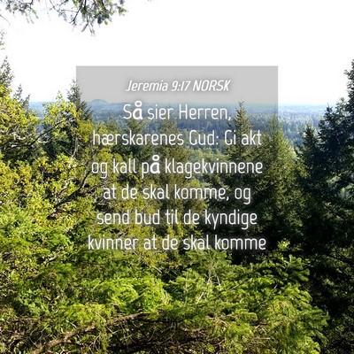 Picture 04 - Jeremia 9:17 NORSK - Så sier Herren, hærskarenes Gud: Gi akt og kall - Bible Verse Picture