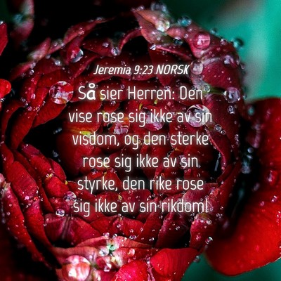 Picture 04 - Jeremia 9:23 NORSK - Så sier Herren: Den vise rose sig ikke av sin - Bible Verse Picture