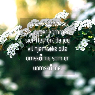 Picture 04 - Jeremia 9:25 NORSK - Se, dager kommer, sier Herren, da jeg vil - Bible Verse Picture