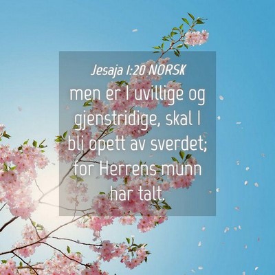 Picture 04 - Jesaja 1:20 NORSK - men er I uvillige og gjenstridige, skal I bli - Bible Verse Picture
