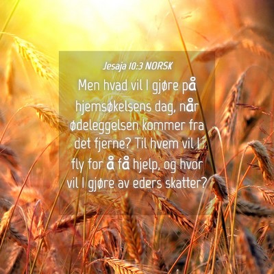 Picture 04 - Jesaja 10:3 NORSK - Men hvad vil I gjøre på hjemsøkelsens dag, - Bible Verse Picture