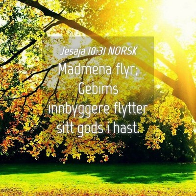 Picture 04 - Jesaja 10:31 NORSK - Madmena flyr; Gebims innbyggere flytter sitt gods - Bible Verse Picture