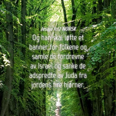 Picture 04 - Jesaja 11:12 NORSK - Og han skal løfte et banner for folkene og samle - Bible Verse Picture