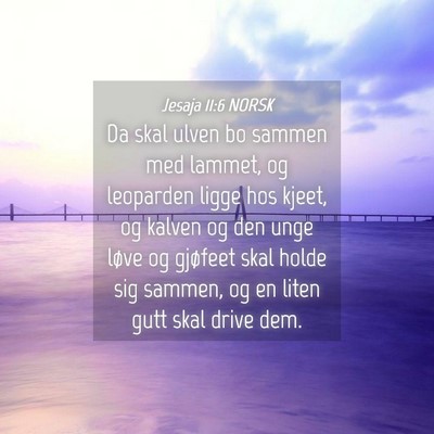 Picture 04 - Jesaja 11:6 NORSK - Da skal ulven bo sammen med lammet, og leoparden - Bible Verse Picture