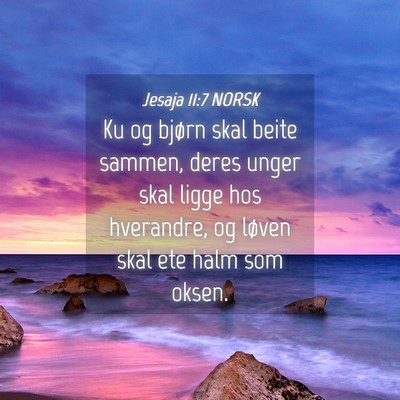Picture 04 - Jesaja 11:7 NORSK - Ku og bjørn skal beite sammen, deres unger skal - Bible Verse Picture
