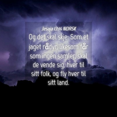 Picture 04 - Jesaja 13:14 NORSK - Og det skal skje: Som et jaget rådyr, likesom - Bible Verse Picture
