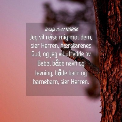 Picture 04 - Jesaja 14:22 NORSK - Jeg vil reise mig mot dem, sier Herren, - Bible Verse Picture