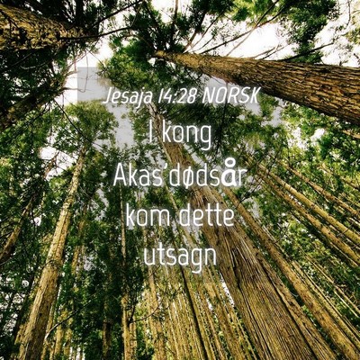 Picture 04 - Jesaja 14:28 NORSK - I kong Akas'dødsår kom dette - Bible Verse Picture