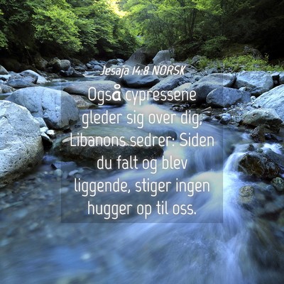 Picture 04 - Jesaja 14:8 NORSK - Også cypressene gleder sig over dig, Libanons - Bible Verse Picture