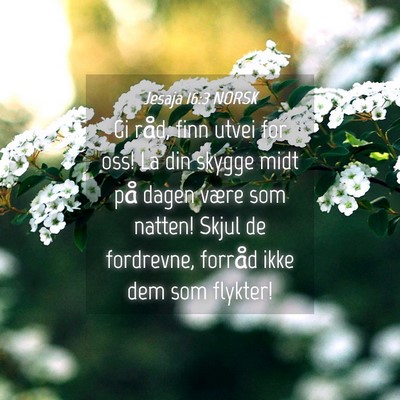 Picture 04 - Jesaja 16:3 NORSK - Gi råd, finn utvei for oss! La din skygge midt - Bible Verse Picture
