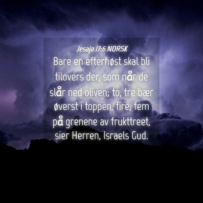 Picture 04 - Jesaja 17:6 NORSK - Bare en efterhøst skal bli tilovers der, som - Bible Verse Picture