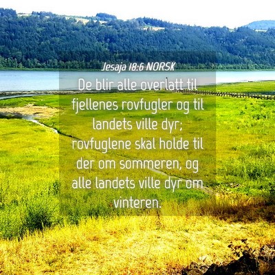 Picture 04 - Jesaja 18:6 NORSK - De blir alle overlatt til fjellenes rovfugler og - Bible Verse Picture