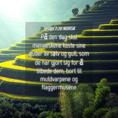 Picture 04 - Jesaja 2:20 NORSK - På den dag skal menneskene kaste sine guder av - Bible Verse Picture
