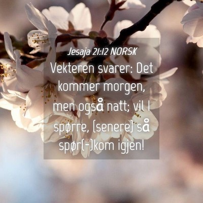 Picture 04 - Jesaja 21:12 NORSK - Vekteren svarer: Det kommer morgen, men også - Bible Verse Picture