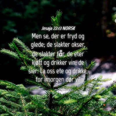 Picture 04 - Jesaja 22:13 NORSK - Men se, der er fryd og glede; de slakter okser, - Bible Verse Picture