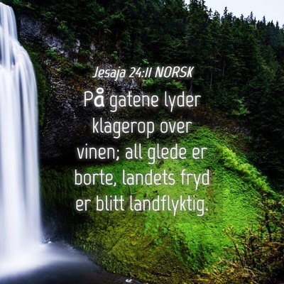 Picture 04 - Jesaja 24:11 NORSK - På gatene lyder klagerop over vinen; all glede - Bible Verse Picture