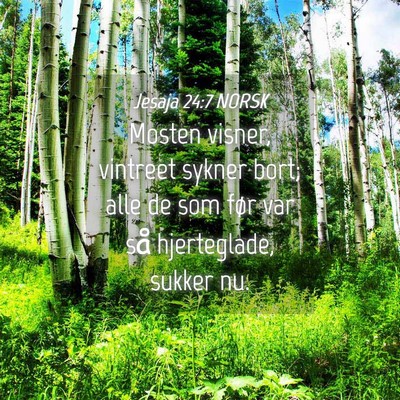 Picture 04 - Jesaja 24:7 NORSK - Mosten visner, vintreet sykner bort; alle de som - Bible Verse Picture