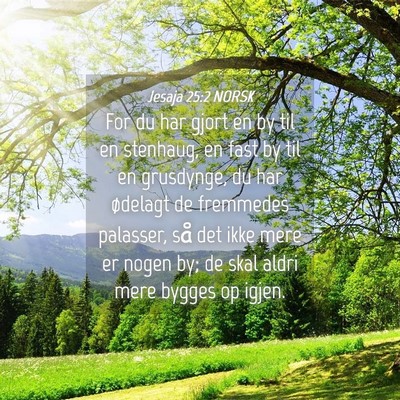 Picture 04 - Jesaja 25:2 NORSK - For du har gjort en by til en stenhaug, en fast - Bible Verse Picture