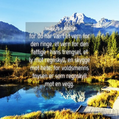 Picture 04 - Jesaja 25:4 NORSK - for du har vært et vern for den ringe, et vern - Bible Verse Picture