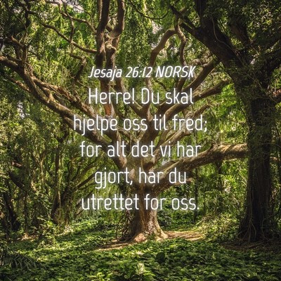 Picture 04 - Jesaja 26:12 NORSK - Herre! Du skal hjelpe oss til fred; for alt det - Bible Verse Picture