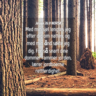 Picture 04 - Jesaja 26:9 NORSK - Med min sjel lengtes jeg efter dig om natten, og - Bible Verse Picture