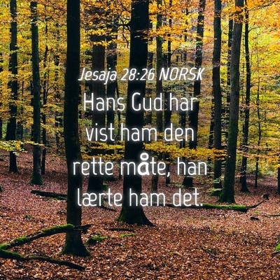 Picture 04 - Jesaja 28:26 NORSK - Hans Gud har vist ham den rette måte, han lærte - Bible Verse Picture