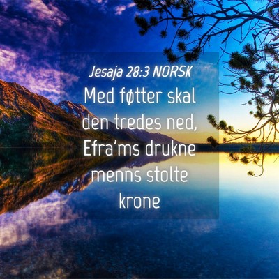 Picture 04 - Jesaja 28:3 NORSK - Med føtter skal den tredes ned, Efra'ms drukne - Bible Verse Picture