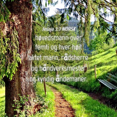 Picture 04 - Jesaja 3:3 NORSK - høvedsmann over femti og hver høit aktet mann, - Bible Verse Picture